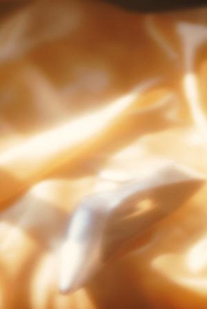 不要なバッグはブラント買取に出そう